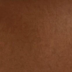 2pk Bowden Dining Chair With Arms Caramel Faux Leather - Project 62™ 10 2pk Bowden Dining Chair With Arms Caramel Faux Leather - Project 62™ -Project 62 GUEST 02f52629 0188 4088 8b4c 5ef15f70b457