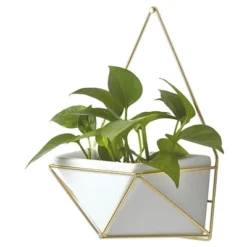 Succulent Wall Geometric Hanging White/Gold - Project 62™ -Project 62 GUEST 2836534e daff 4fb8 8ad7 0f482e939ebb