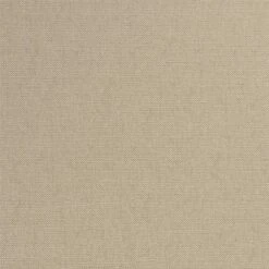 2pk Candelaria Upholstered Dining Chairs - Project 62™ -Project 62 GUEST 312307ce 0434 4bd2 b26b 9272bb217f89