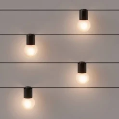 10ct Incandescent Outdoor String Lights G40 Frosted White Bulbs Black Collar - Project 62™